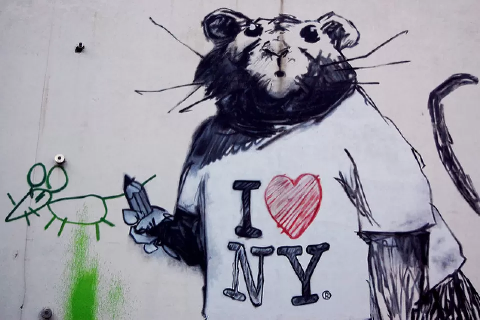Vermin Graffiti